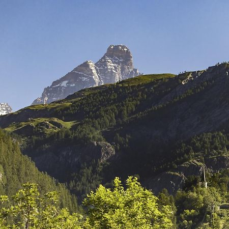 Hellochalet - Chalet Northern Lights - Family Ski Chalet With Garden Walking Distance Lift Valtournenche Bagian luar foto