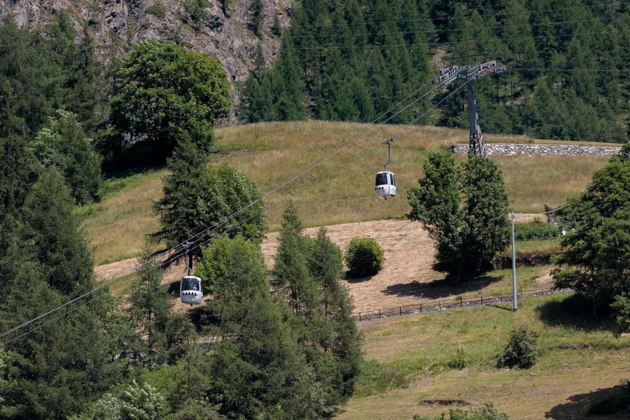 Hellochalet - Chalet Northern Lights - Family Ski Chalet With Garden Walking Distance Lift Valtournenche Bagian luar foto